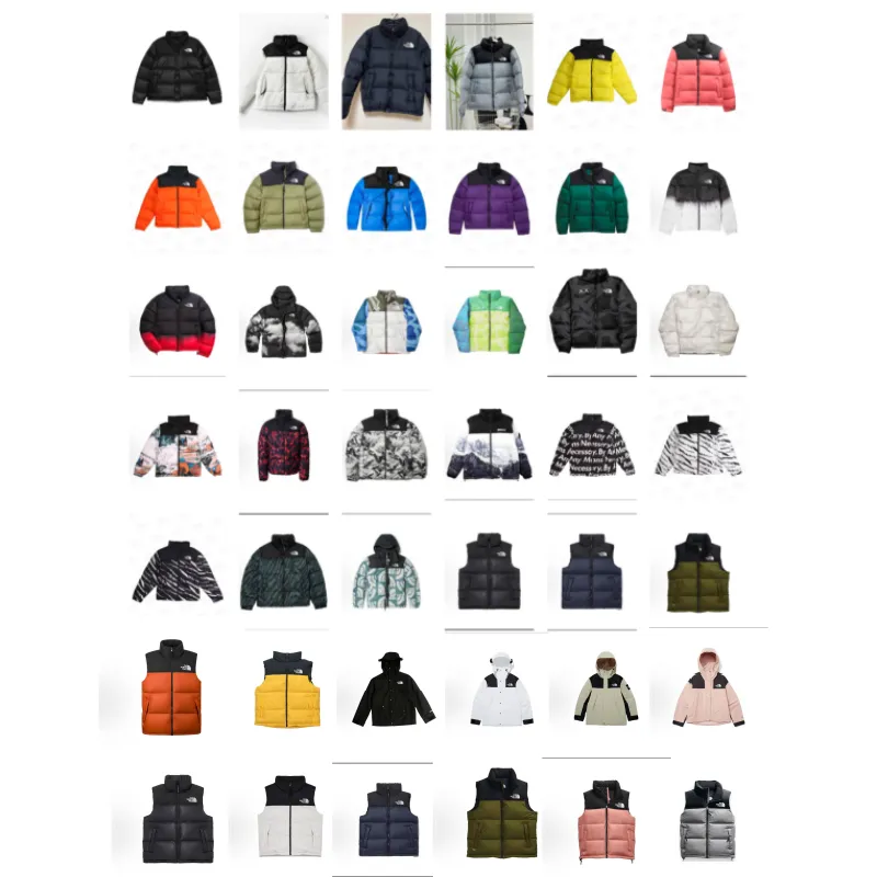 No1rthern down jac*ket (30)